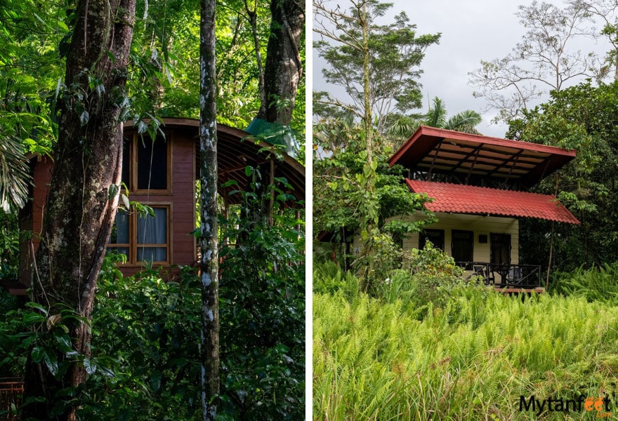 costa rica birding and wildlife itinerary - maquenque eco lodge boca tapada tree houses and cabins