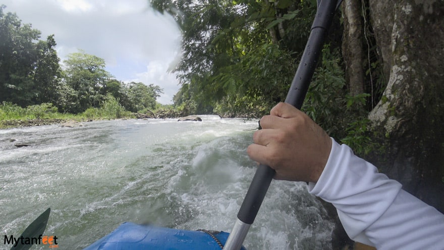 costa rica birding and wildlife itinerary - selva verde sarapiqui white water rafting