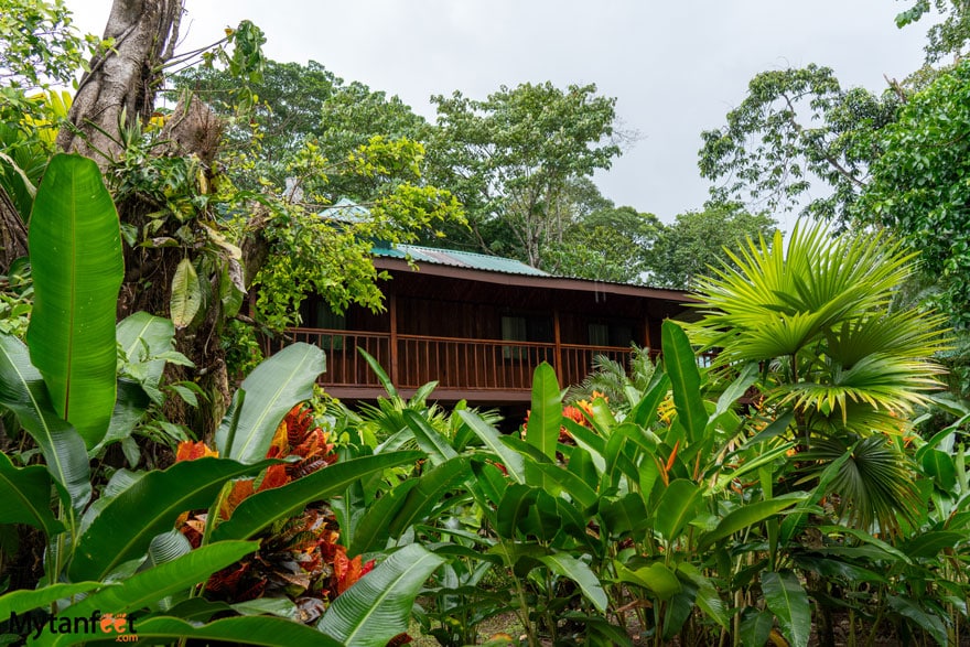 Selva Verde Lodge - first stop during the 2 week Costa Rica birding and wildlife itinerary