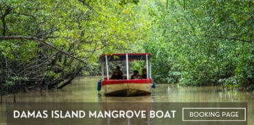 damas island mangrove boat tour
