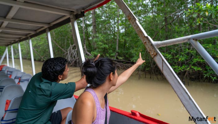 damas island mangrove boat tour