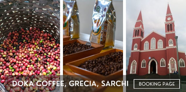 doka coffee grecia sarchi oxcart