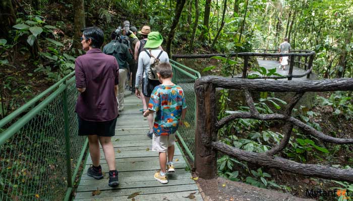 hike and nature hanging bridges and la fortuna waterfall 