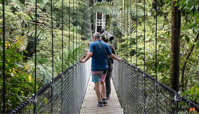 hike and nature hanging bridges and la fortuna waterfall