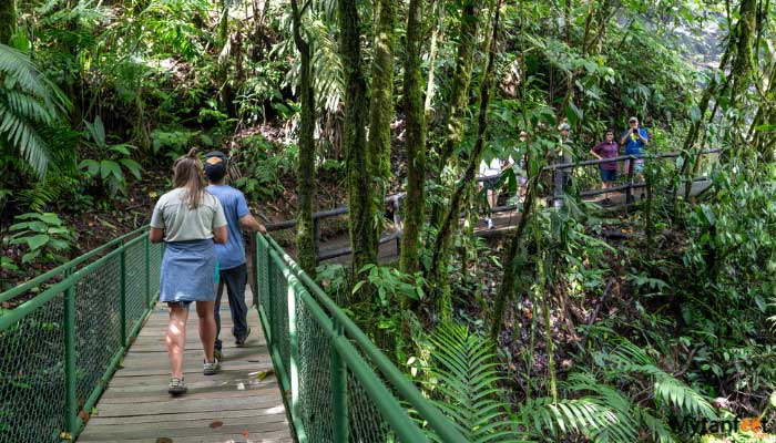 hiking-lovers-arenal-hanging-bridges hiking lovers arenal hanging bridges