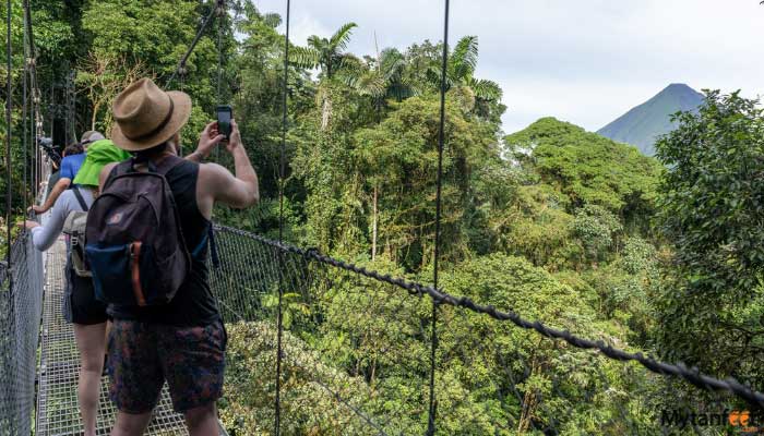 hiking-lovers-mistico-arenal-hanging-bridges hiking lovers mistico arenal hanging bridges