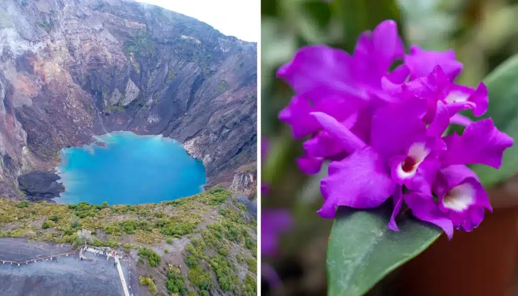 irazu volcano orosi valley lankester garden tour booking page featured image