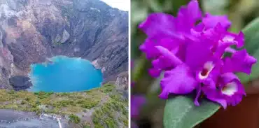 irazu volcano orosi valley lankester garden tour booking page featured image