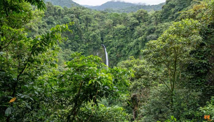 la fortuna and la finquita farm 
