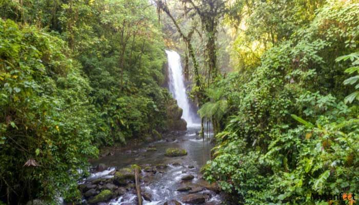 la-paz-waterfall-gardens--5 la paz waterfall gardens