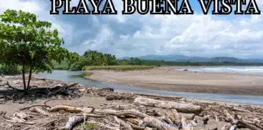 playa buena vista samara
