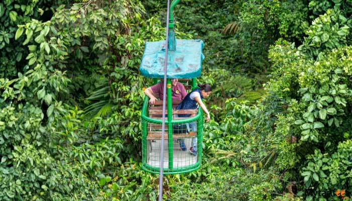 Authentic-Rainforest-Experience-6 Authentic Rainforest Experience