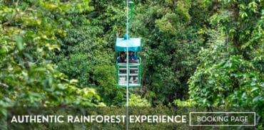 Authentic Rainforest Experience
