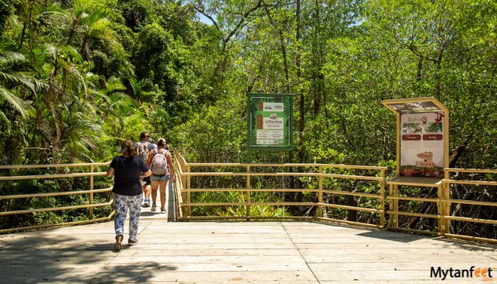 Manuel-Antonio-National-Park-Tour-from-San-Jose-1 Manuel Antonio National Park Tour from San Jose