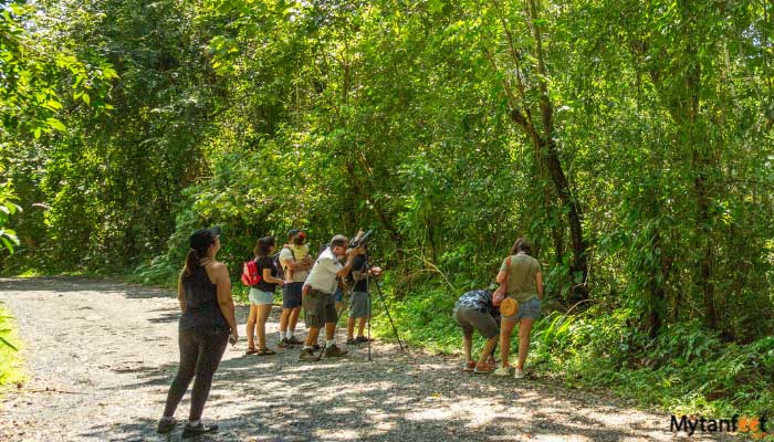 Manuel-Antonio-National-Park-Tour-from-San-Jose-3 Manuel Antonio National Park Tour from San Jose