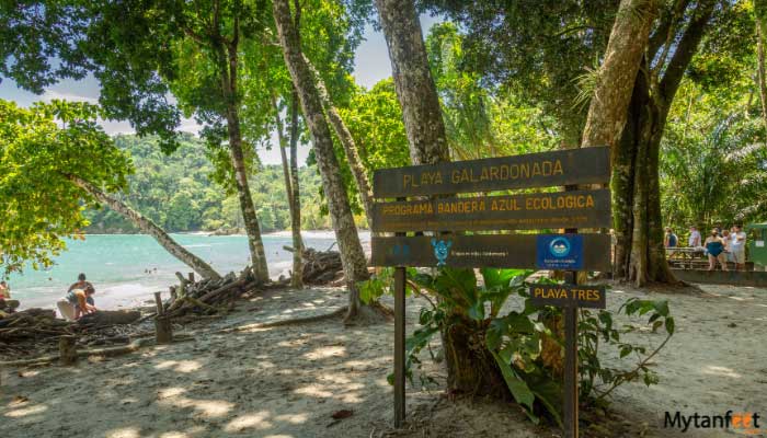Manuel-Antonio-National-Park-Tour-from-San-Jose-5 Manuel Antonio National Park Tour from San Jose