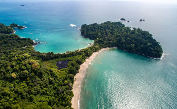 Manuel-Antonio-National-Park-Tour-from-San-Jose-booking-main