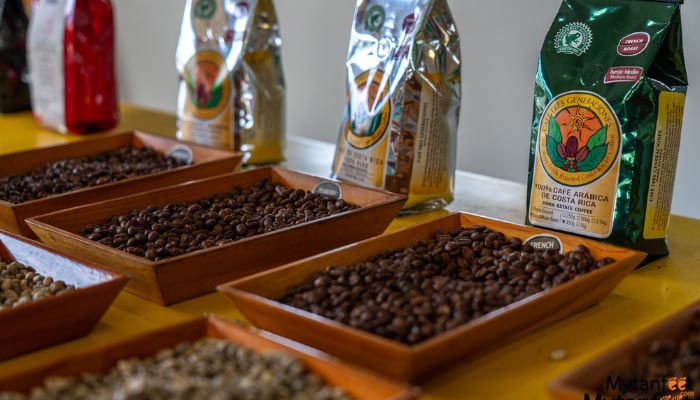 Doka Coffee Grecia Sarchi