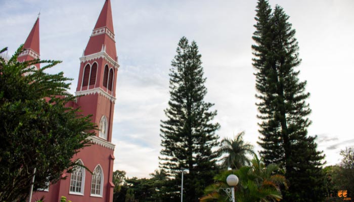 Doka Coffee Grecia Sarchi