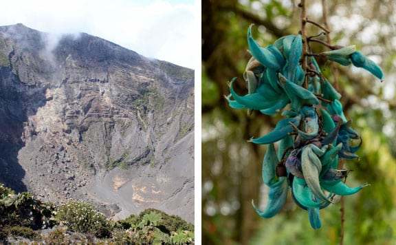 irazu-volcano-orosi-valley-lankester-booking-main