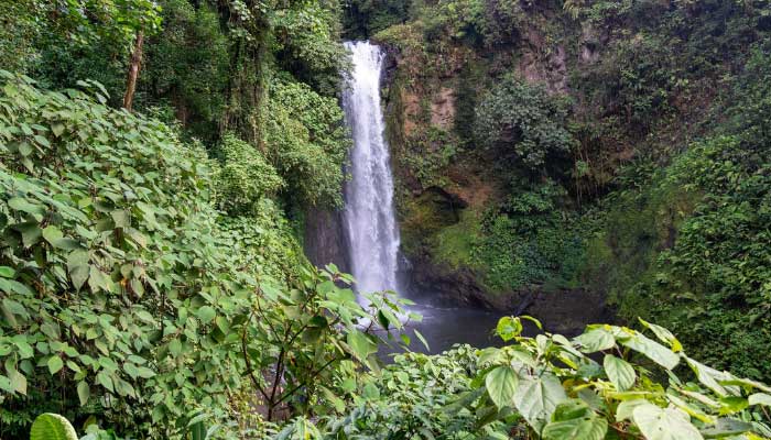 la-paz-waterfall-gardens-tour-with-transportation-6 La Paz Waterfall Gardens tour with transportation from San Jose