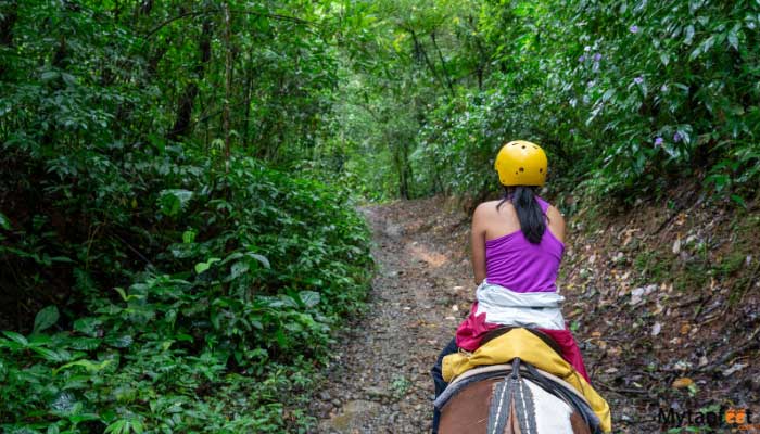 manuel antonio horseback riding through the jungle