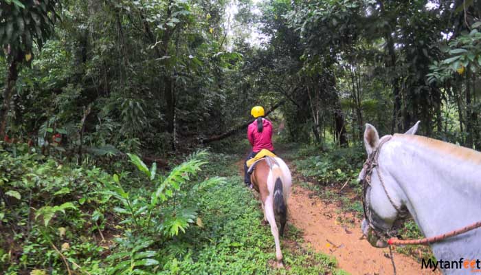 manuel antonio horseback riding through the jungle