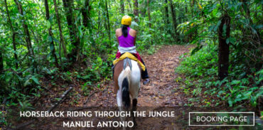 manuel antonio horseback riding through the jungle