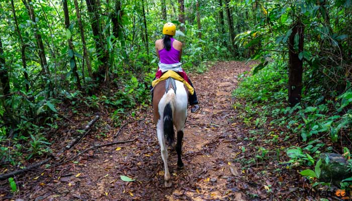 manuel antonio horseback riding through the jungle