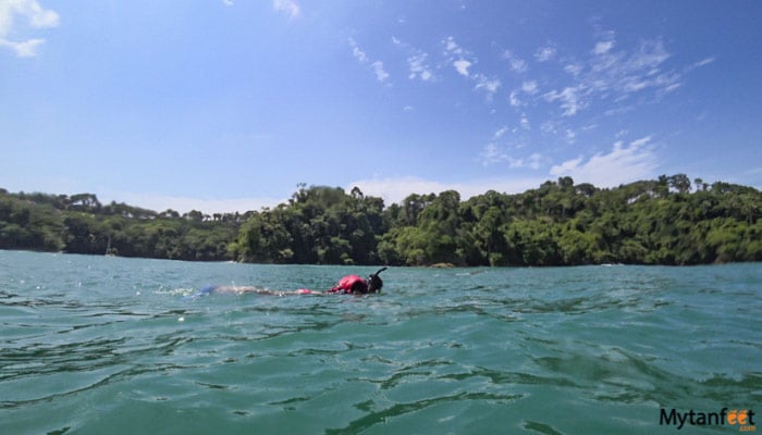 manuel antonio ocean kayak and snorkel