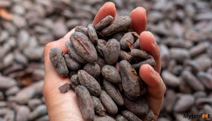 Poás Volcano, Doka Coffee, Grecia and Sarchi Tour