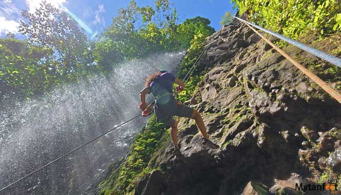 Pure Trek Canyoning and Rainforest Falls