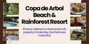 Copa de Arbol Resort Drake Bay