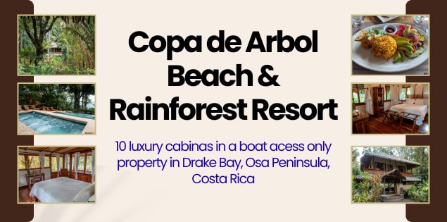 Copa de Arbol Resort Drake Bay