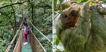 guanacaste rainforest sloth tour booking page featured image