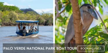 palo verde national park boat tour