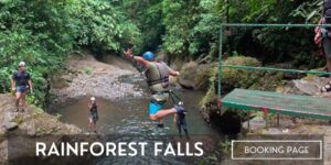 rainforest falls booking image featured image page