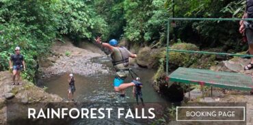 rainforest falls booking image featured image page