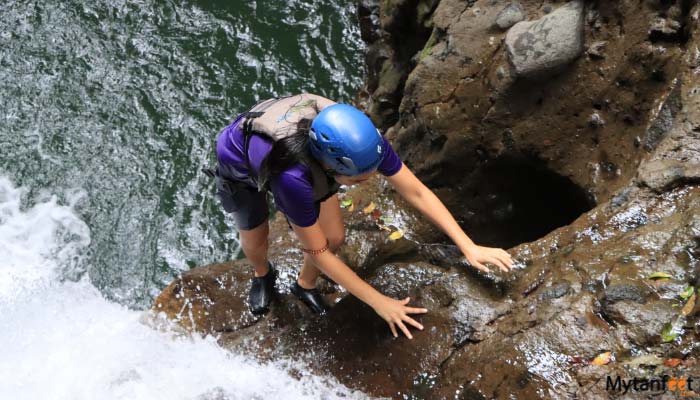 rainforest falls by pure trek image