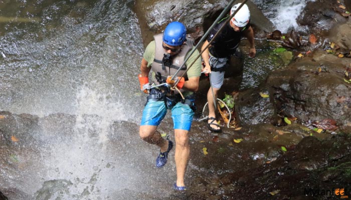 rainforest falls by pure trek image