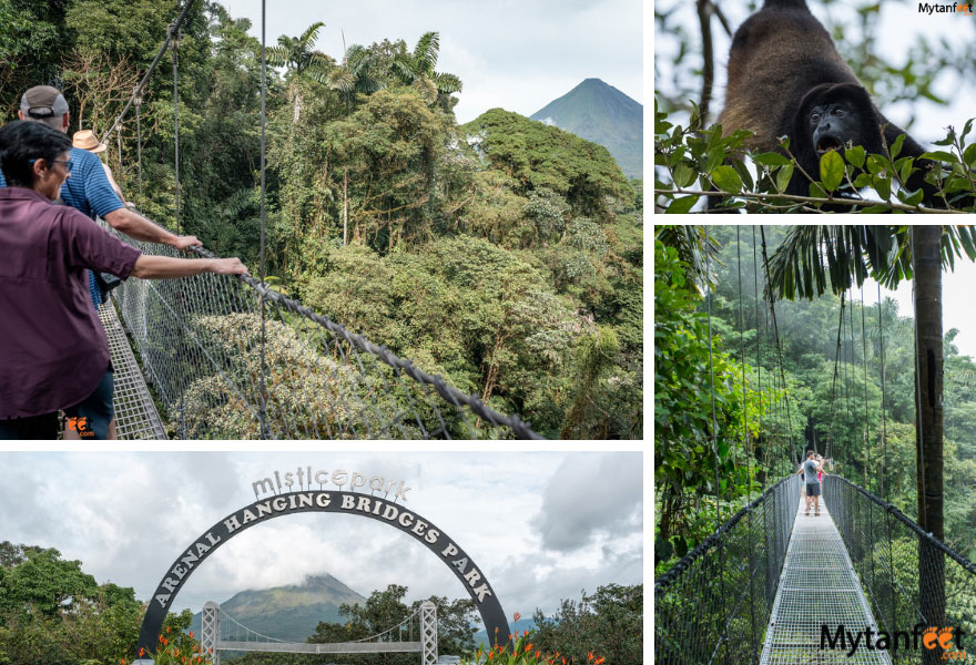 Photo of a howler monkey, a woman walking on a hanging bridge with Arenal Volcano in the backdrop, at the Mistico Arenal Hanging Bridges