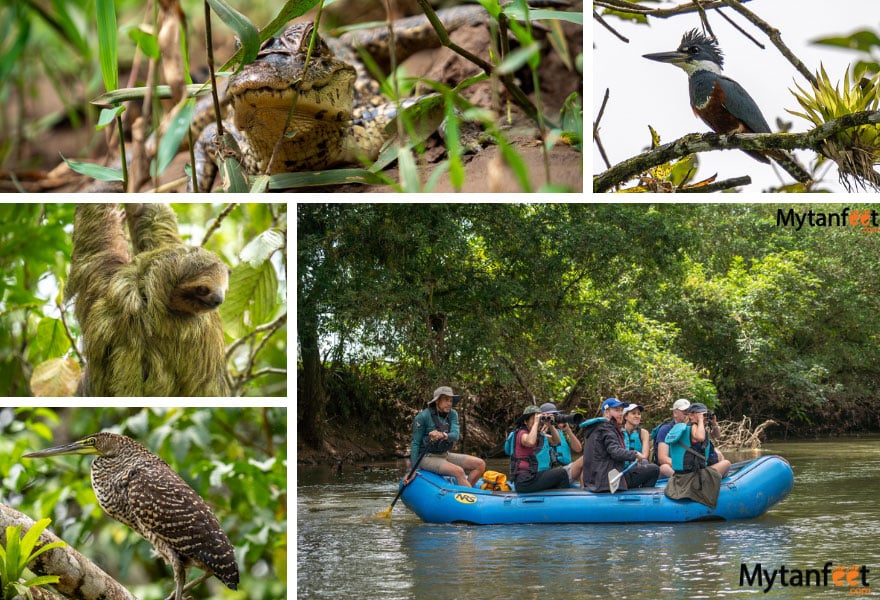 1 week luxury costa rica itinerary penas blancas safari float