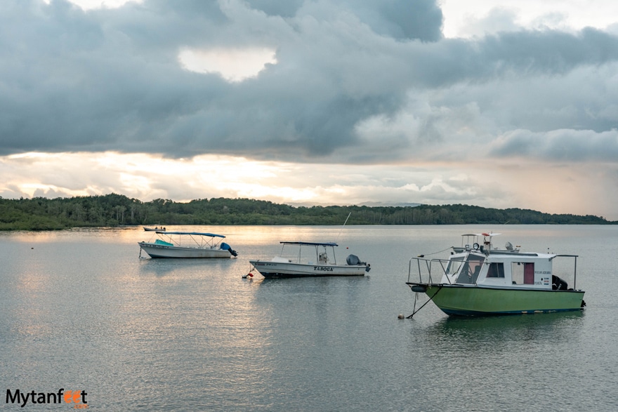 Three boats docked in the water in PUerto Jimenez. 