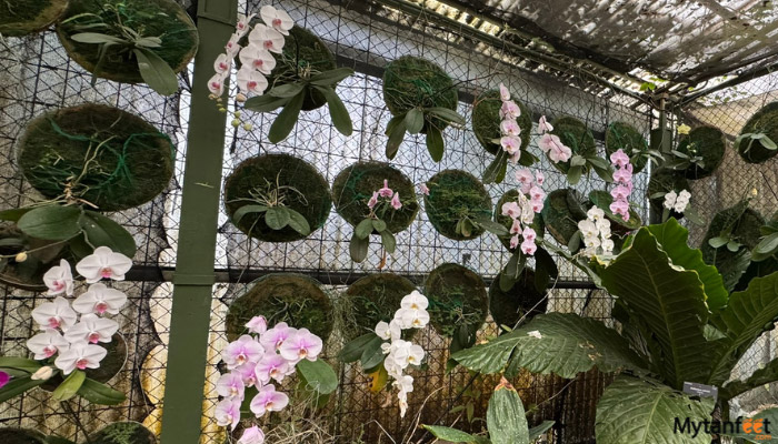 Orosi Valley and Lankester Gardens