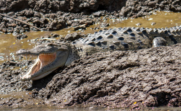 palo-verde-national-park-boat-tour-booking-image