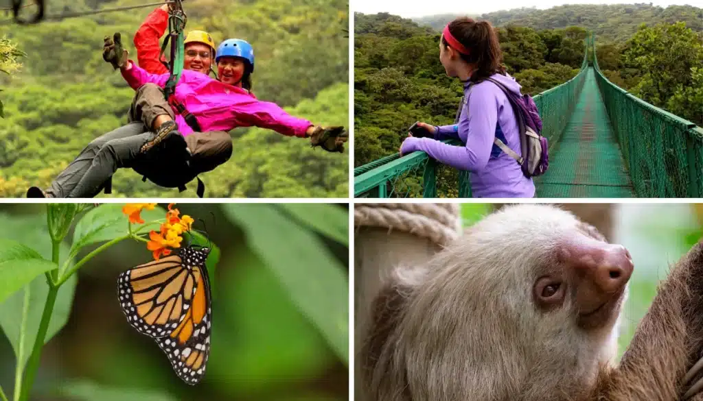 selvatura park monteverde tickets booking page featured image