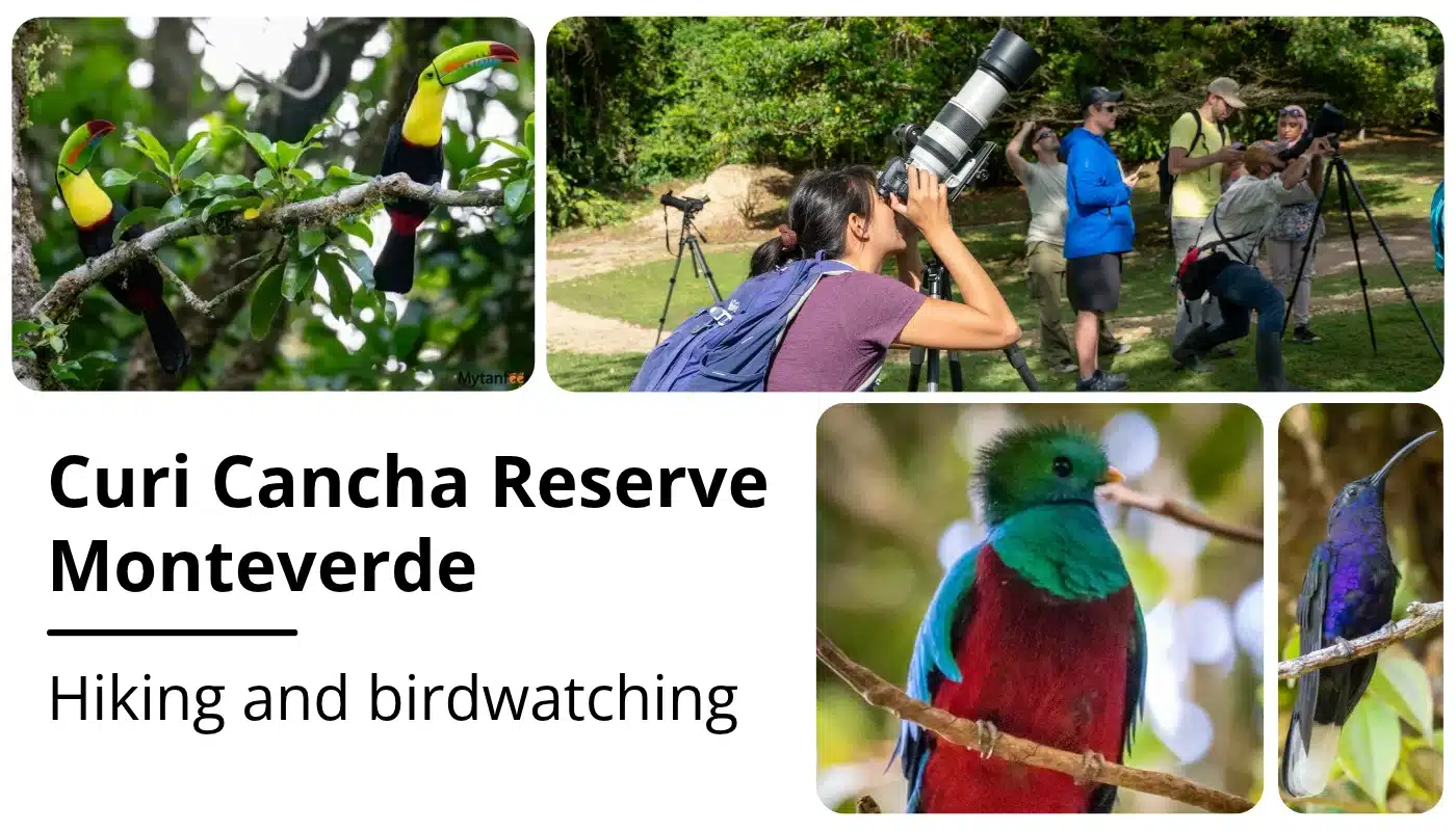 Curi Cancha Reserve: Best Place to See Resplendant Quetzals in Monteverde