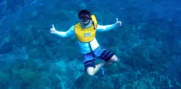 cano island snorkeling tour from uvita booking page featured image