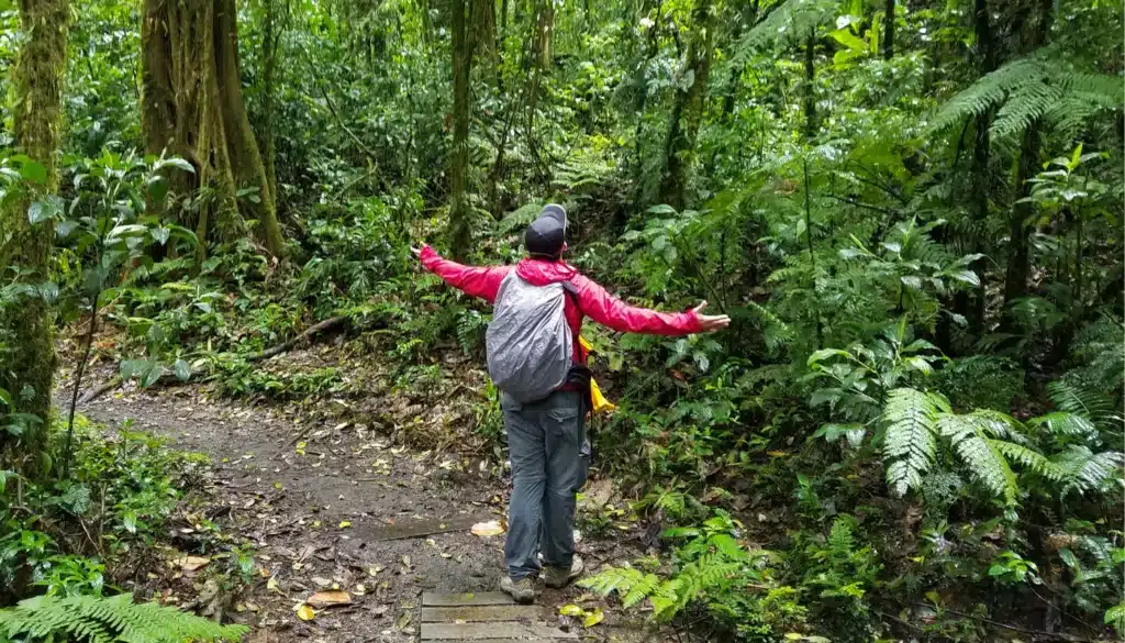 santa elena cloud forest day tour booking page featured image