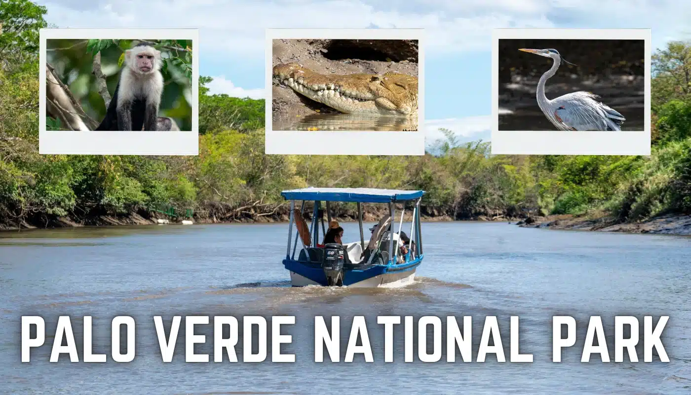 Palo Verde National Park – One of the Best for Wildlife Watching